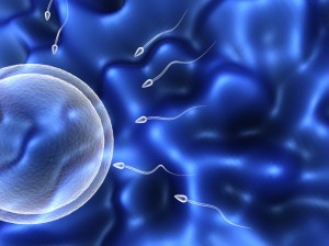 Lack of Sleep Lowers Men’s Sperm Count by 30%